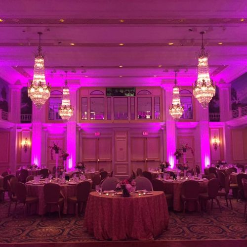 465034499_8965292800169958_6840887738446982161_n